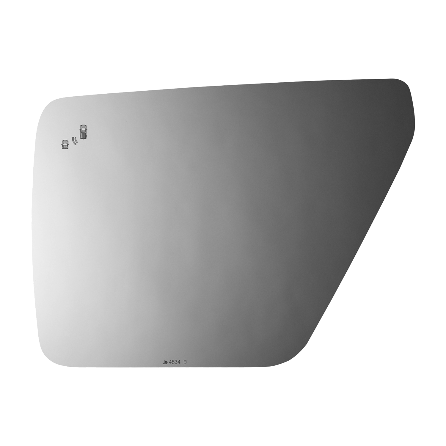 SIDE VIEW MIRROR W BLIND SPOT